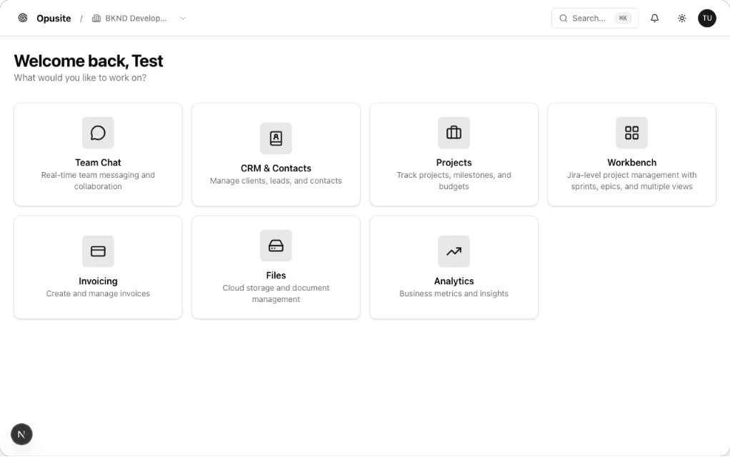 Opusite dashboard showing Team Chat, CRM, Projects, Workbench, Invoicing, Files, and Analytics modules